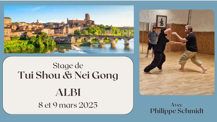Annonce Helloasso du stage de Tui Shou animé par Philippe Schmidt à Albi et organisé par YiMaJing en mars 2025.