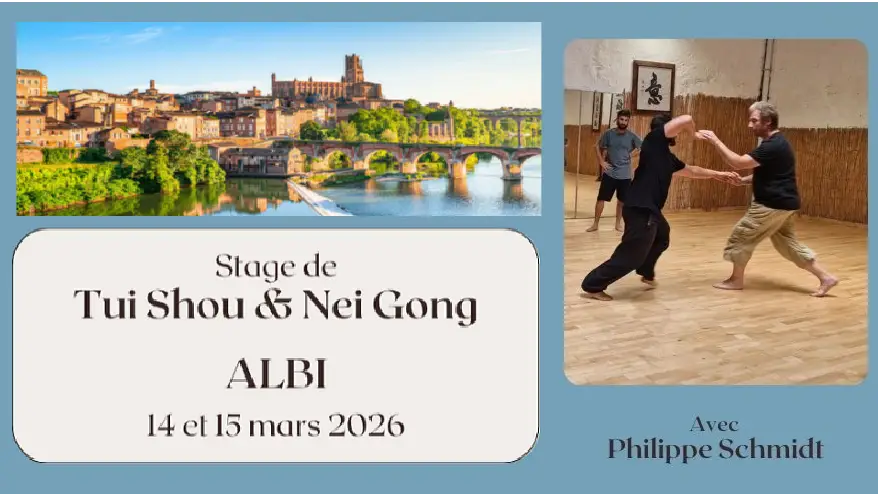 Annonce Helloasso du stage de Tui Shou animé par Philippe Schmidt à Albi et organisé par YiMaJing en mars 2026.